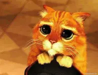 imagenes-del-gato-de-sherk-tiernas.webp