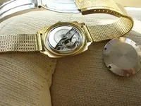DSCN2938.webp