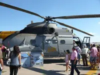 puma sar.webp