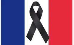 1parisfrTZ.webp