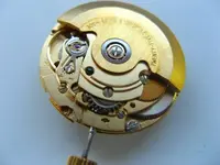 6.webp
