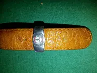 IMG-20151014-00163.webp