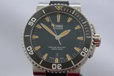 ORIS AQUIS.webp