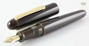 nakaya.webp