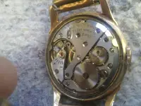 12233067_10208281047286449_1318926920_n.webp