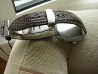 DSCN2991.webp