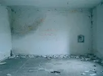 antia_moure.webp