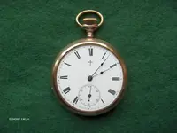 1 (Large) (2).webp