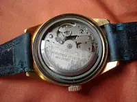008 (Large).webp