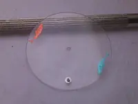 peces.webp