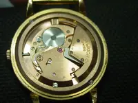DSC00465.webp