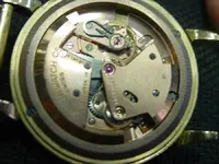DSC00496.webp