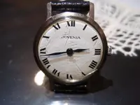 JUVENIA.webp