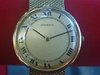 juvenia 1.webp
