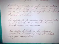 Lamy escritura 2.webp