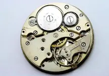 Movement.webp