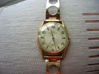 DSCN3000.webp
