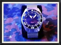 bvfbfb.webp