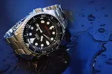 Seiko skx007.webp