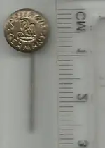 pin pelikan.JPG