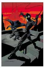 catwoman4.webp