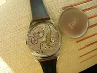 DSCN3009.webp