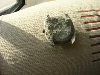 DSCN3054.webp