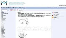image.webp image.webp