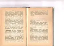 pendulos 008.webp