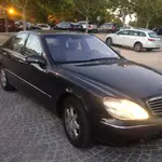 diciembre 15 060.webp