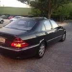 diciembre 15 062.webp