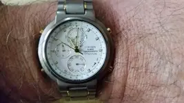 Citizen.webp