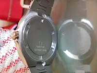 DSCN5896.webp