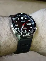 12651370_594903557330267_8403726407861156982_n.webp
