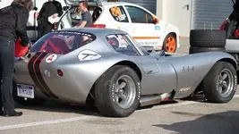 Cheetah 4.webp