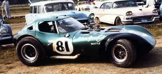 Cheetah Seattle 65.webp