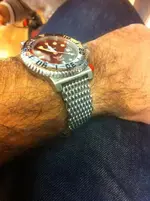 bvb.webp