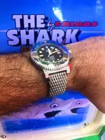 12573181_10153862264239919_3332699333674665436_n.webp