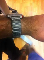 hvv.webp