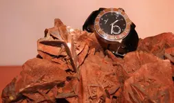 _DSC1392.webp _DSC1392.webp