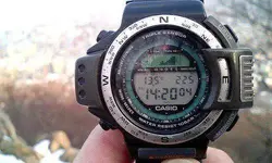 2058507659_72a84f029d.webp