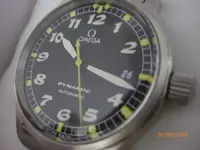 omega-dy.webp