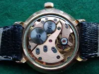 14 (Large).webp 14 (Large).webp