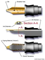 nib-feed-section.webp