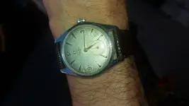 14556091713671280236258.webp