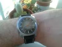 ds.02.webp