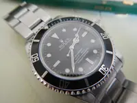 DSCN5855.webp