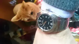 14550080134771355570947.webp