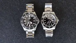 PelagosvsSub4.webp
