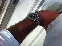 12510398_10153872808364919_7787041678421019797_n.webp